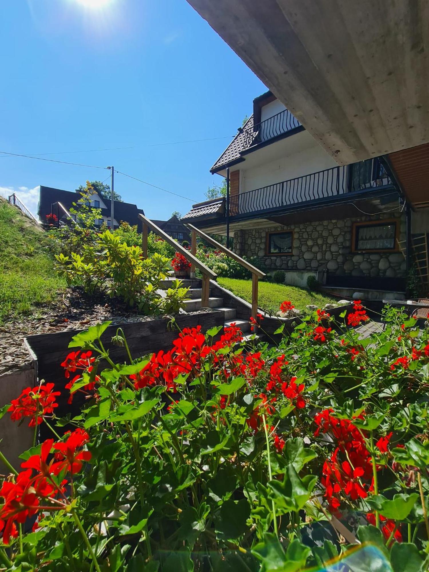 Baca Apartment Bukowina Tatrzanska Exterior photo